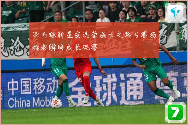 羽毛球新星安洗莹成长之路与赛场精彩瞬间成长观察