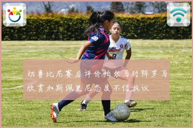 切鲁比尼赛后评价帕尔马对阵罗马欣赏加斯佩里尼态度不信抗议